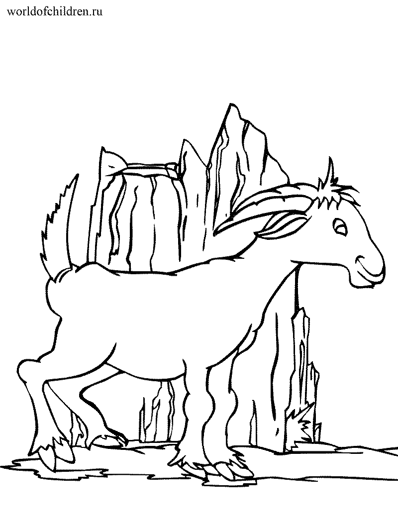 Раскраска козел
